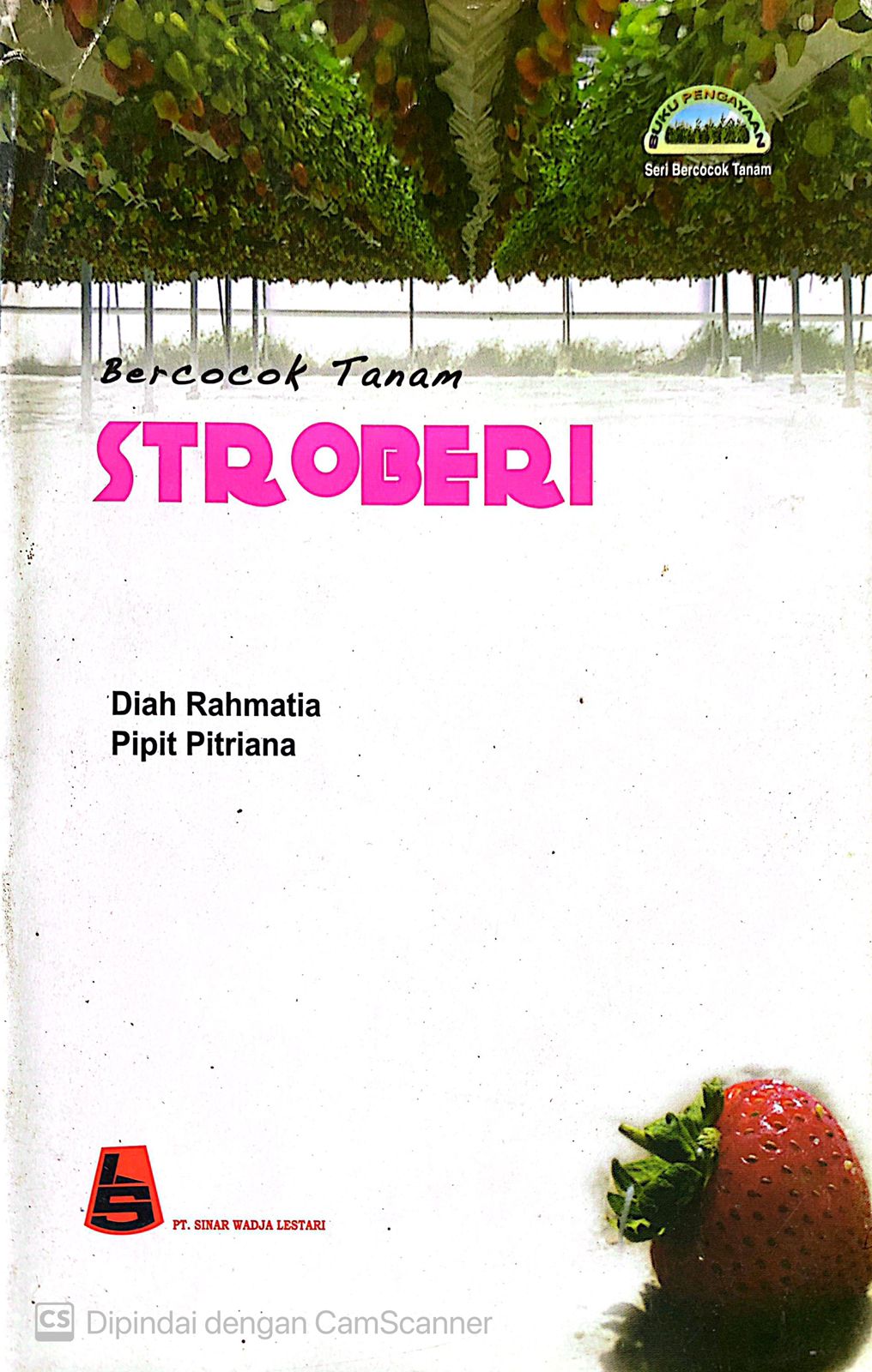 Cover Bercocok Tanam Stroberi